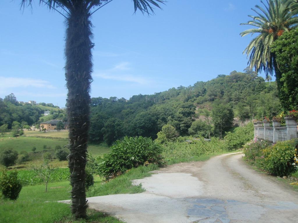 Apartamentos Arcos Del Esva Luarca Exteriör bild
